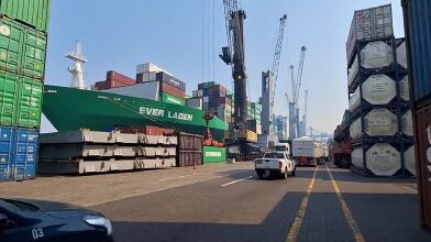 A Senasica certifica 94.360 toneladas de frutas e verduras chilenas pelo Porto de Manzanillo