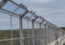 Ponte Bioceânica incorpora medidas para proteger as aves e preservar o Rio Paraguai