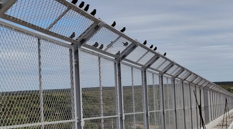 Ponte Bioceânica incorpora medidas para proteger as aves e preservar o Rio Paraguai