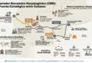 Corredor Bioceânico Patagônia Norte: O ambicioso projeto de 1,8 bilhão de dólares para transformar a logística regional