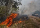 Proteger o Pantanal e transformar Rota Bioceânica em corredor turístico faz parte das propostas de Fábio Trad