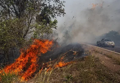 Proteger o Pantanal e transformar Rota Bioceânica em corredor turístico faz parte das propostas de Fábio Trad