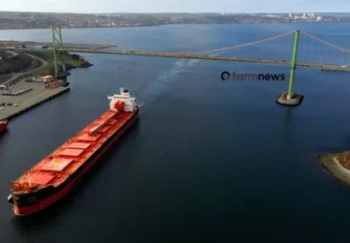 Maquila: até agosto, exportação do Paraguai supera US$1,0 bilhão